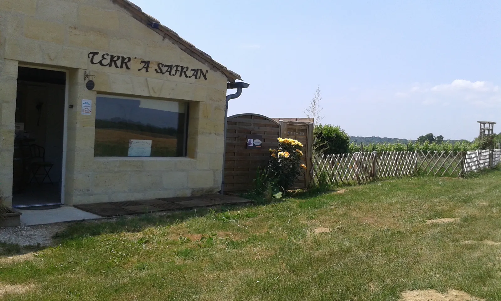 Image 2
